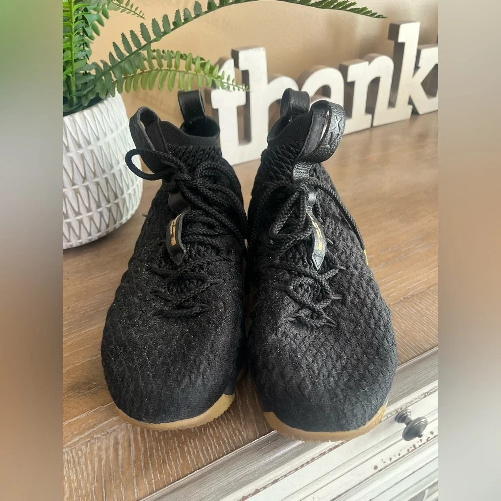 Nike lebron 15